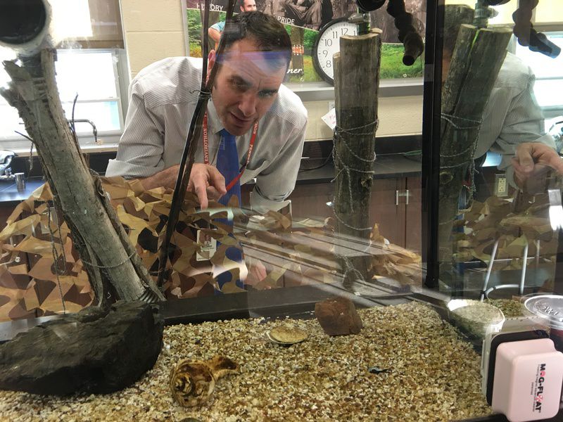 Paralegal, logger, actress ... teacher: Some take winding path to front of the classroom